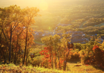 沈白高铁正式开通运营，长白山迈入高铁旅游新时代|万达锦华酒店