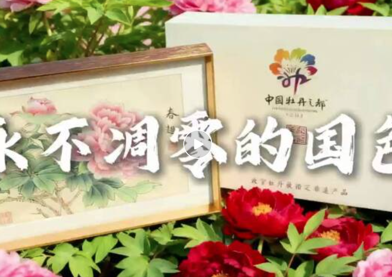 孔子文旅集团【百城联动】| 第⑥城—山东省菏泽市