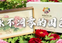 孔子文旅集团【百城联动】| 第⑥城—山东省菏泽市