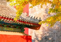 日游香山赏红叶，夜归智能舒适眠：格雅酒店开启完美秋日之旅