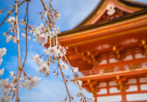 日本拟2026财年上调外国游客签证费，为1978年来首次提价