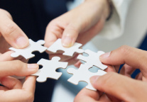 祥源文旅：将开展2025年股东回馈活动