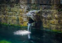 栖居泉城新潮地，格丽酒店解锁济南旅居新体验