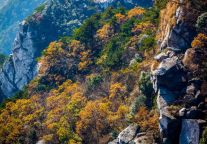  商务休闲两相宜，格林豪泰定义九江旅居新体验