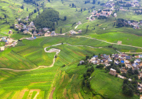 云南旅游第三季度净利润亏损3518.77万元，下降119.29%