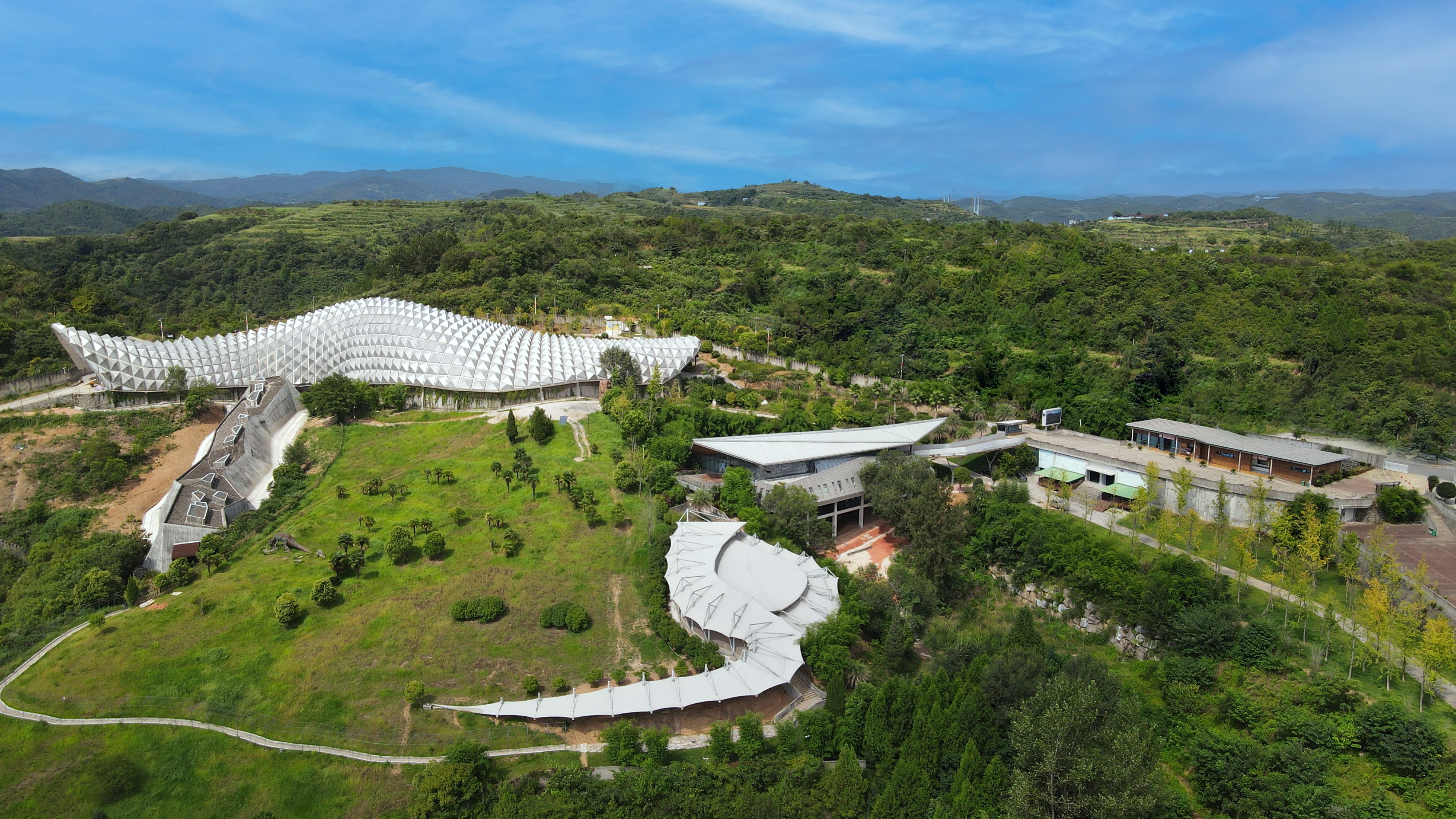 从化石标本到文旅名片，地质遗产活化的“郧阳答案”