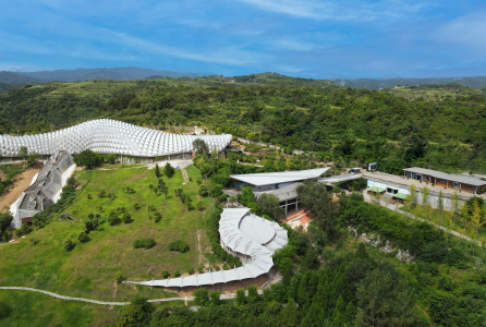 从化石标本到文旅名片，地质遗产活化的“郧阳答案”