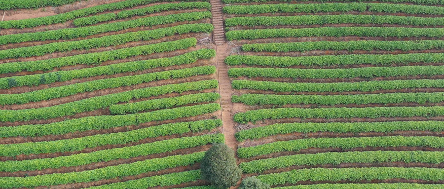  总投资3.5亿元，广东梅州五华县“合生·山海云谷”文旅项目开工