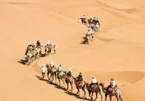 双十一，不淘宝贝，只淘风景！ 沙坡头冬日奇遇记等你签收！