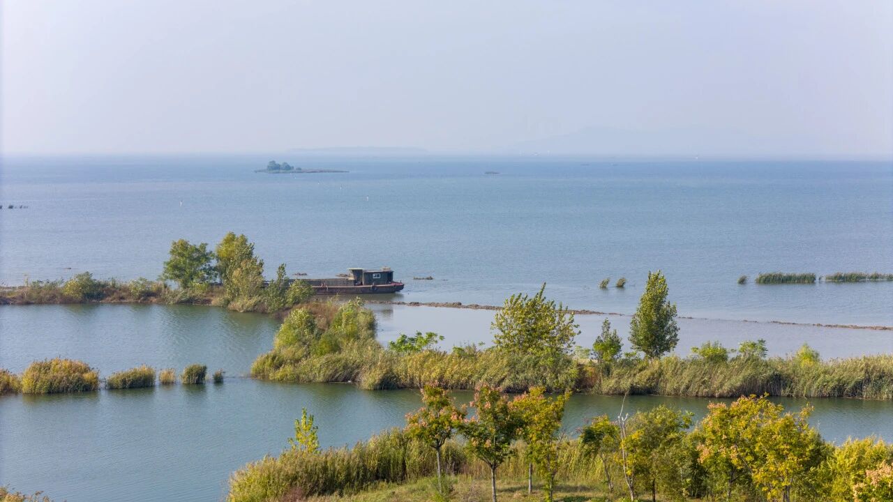 水墨东平湖，初冬最是诗意时