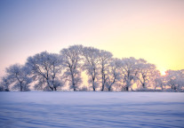吉林省旅游控股集团更名为吉林省旅游发展集团