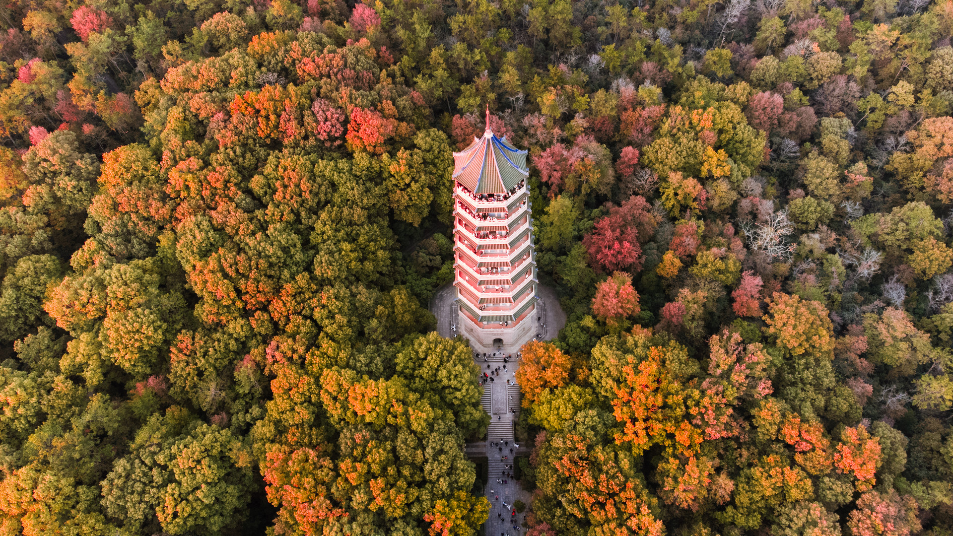 南京文旅集团组建完成，注册资本100亿元