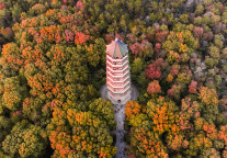 南京文旅集团组建完成，注册资本100亿元