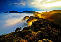 重阳佳节至，登高赏秋时