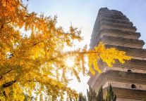  格菲酒店西安高铁北站店：探索古都的文艺栖居地   