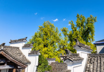 桐庐文旅集团10亿元公司债更新至“已反馈”