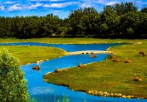 驻足京南便利地，格丽酒店开启惬意旅居