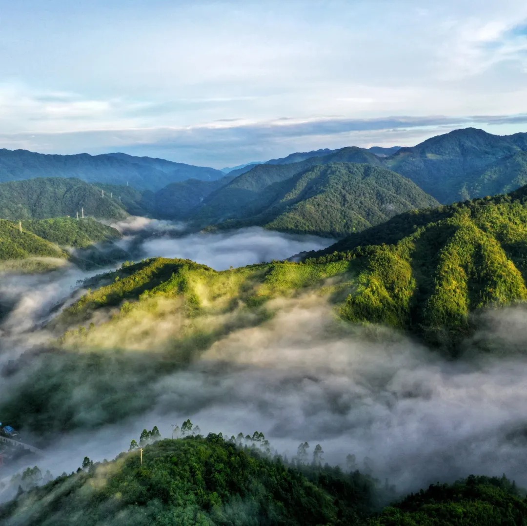 重阳登高赏秋，共祈喜乐安康