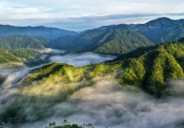 重阳登高赏秋，共祈喜乐安康