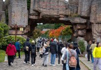 明月山进入秋冬旅游旺季，3000人旅行团畅游山水美景！