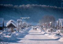  深秋早冬栖北疆！格林东方酒店北屯步行街店，暖享雅致中转   