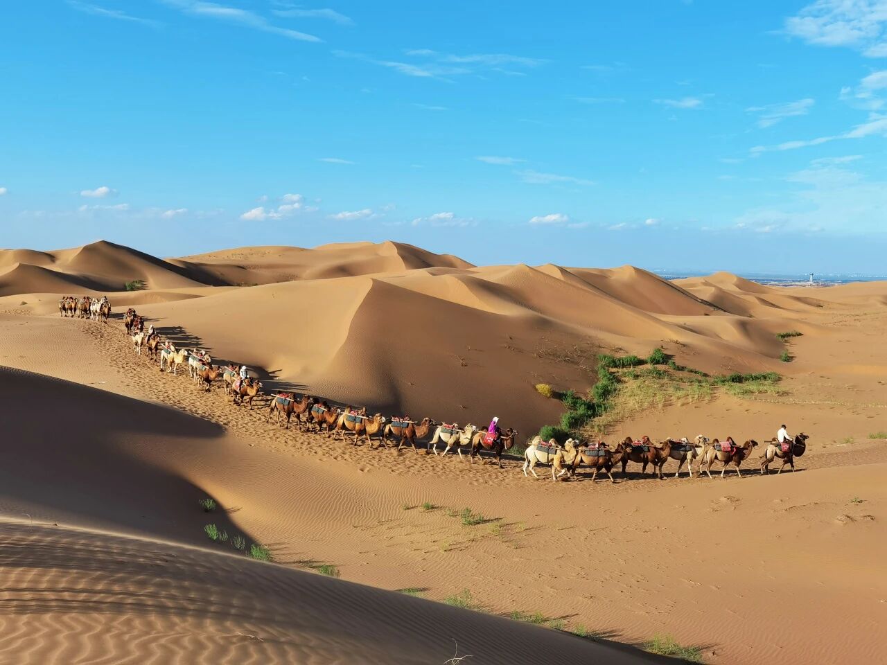 叮咚！沙坡头景区冬季优惠政策已抵达~