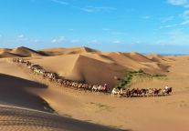 叮咚！沙坡头景区冬季优惠政策已抵达~