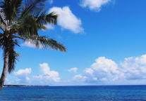 皇家加勒比第三季度总营收51亿美元，净利润16亿美元