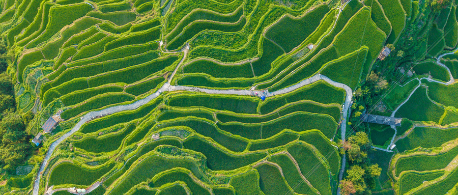 贵州设立200亿元文旅产业基金，获1500亿元意向融资