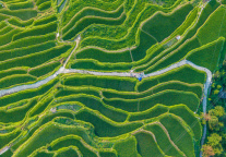 贵州设立200亿元文旅产业基金，获1500亿元意向融资