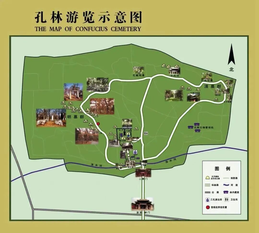 三孔景区（孔子博物院）春节假期游玩全攻略