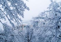 格林东方酒店（黄山风景区店）：黄山南麓雅境，藏于山水的静谧栖居 