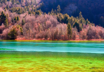 四川：九寨沟年度游客突破700万人次创下新高