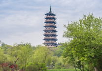 曲江文旅：2025年预计净亏损1.3亿元至1.65亿元