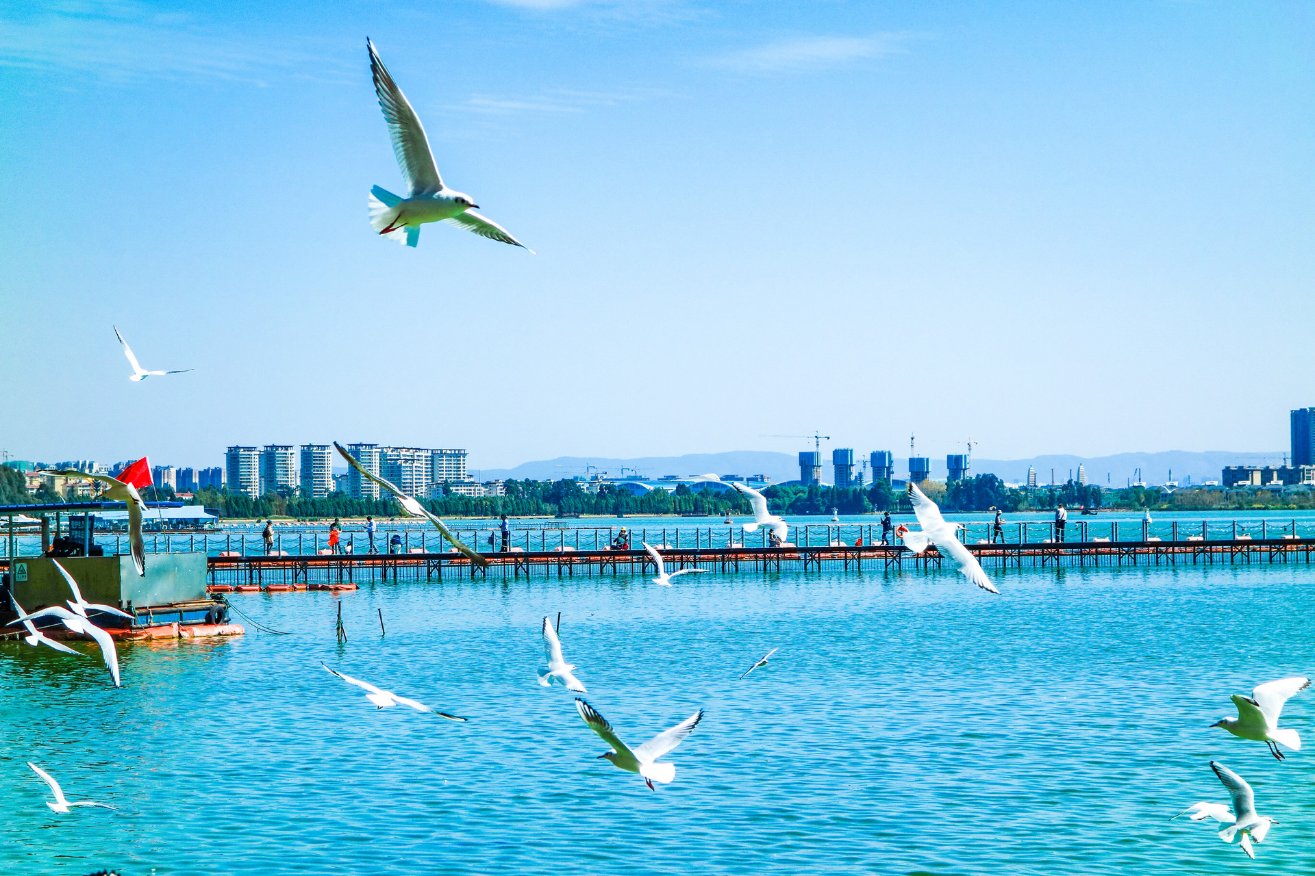 高德基于世界模型推出全球首个“飞行街景”