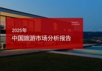 2025年中国旅游市场分析报告