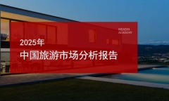 2025年中国旅游市场分析报告