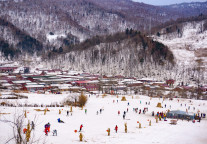 天眼查报告：文旅成黑龙江经济新引擎