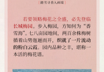 暗香浮来，府城的第一波梅花悄然绽放~