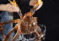 瑞飨鲜活 武汉万达瑞华酒店帝王蟹四吃盛筵