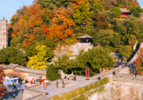 台州府城第三批文化类业态招商公告