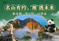 就在今天！大熊猫&雁荡山的相遇，等你来~