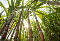 这届“野生文旅”，野的是体验，卷的是安全