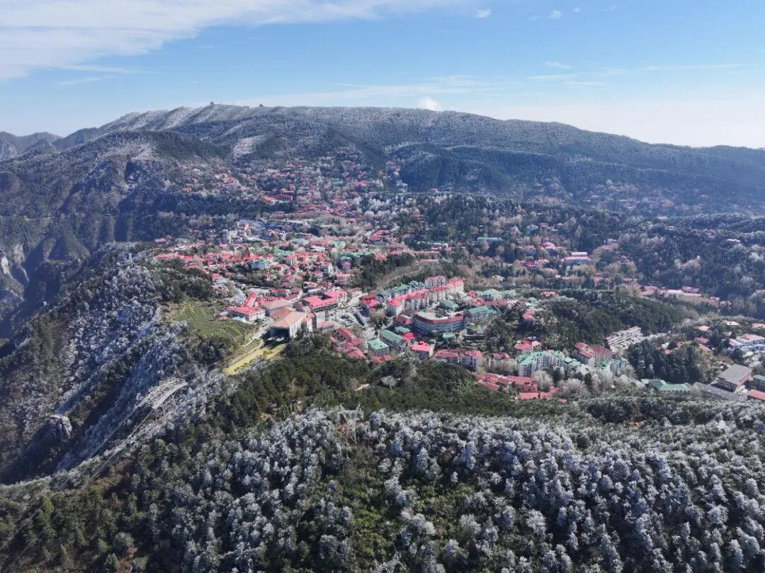 秋叶挂“冬霜”：庐山风景区迎来2025年入冬首场雾凇