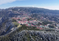 秋叶挂“冬霜”：庐山风景区迎来2025年入冬首场雾凇