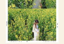 没看错！台州府城第一波油菜花已经金灿灿啦！