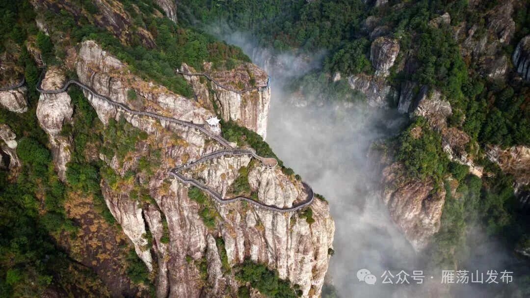 振雁荡雄风 书十二新篇—绘就海上名山新图景
