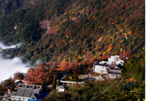 后悔没早点告诉大家！武功山住宿攻略又来啦～