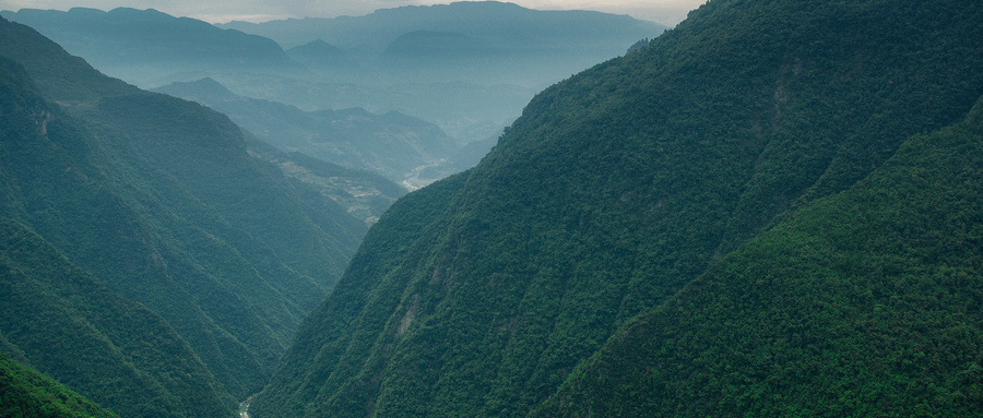 重庆万盛鱼子岗片区开发重点项目开工