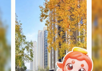 美好摄影大赛投票明日开启！快pick你心中最美好的“美寓瞬间”